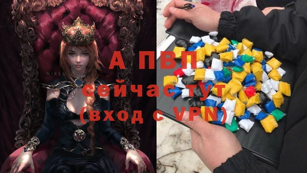 шишки Нефтекумск