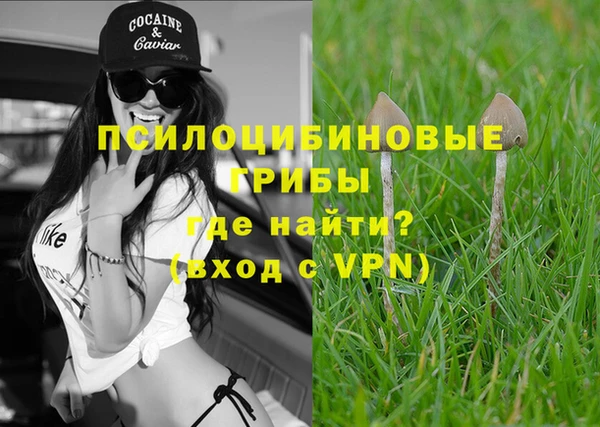 ALPHA-PVP Надым